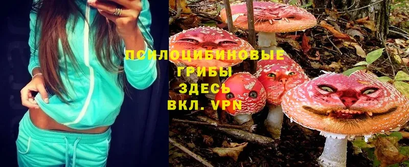 мега tor  Ялта  Псилоцибиновые грибы Magic Shrooms 